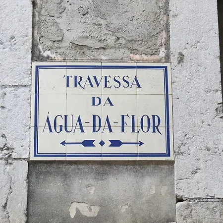Appartement Nini Lisboa